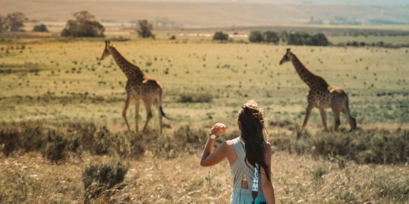 objectif pour photo animalière