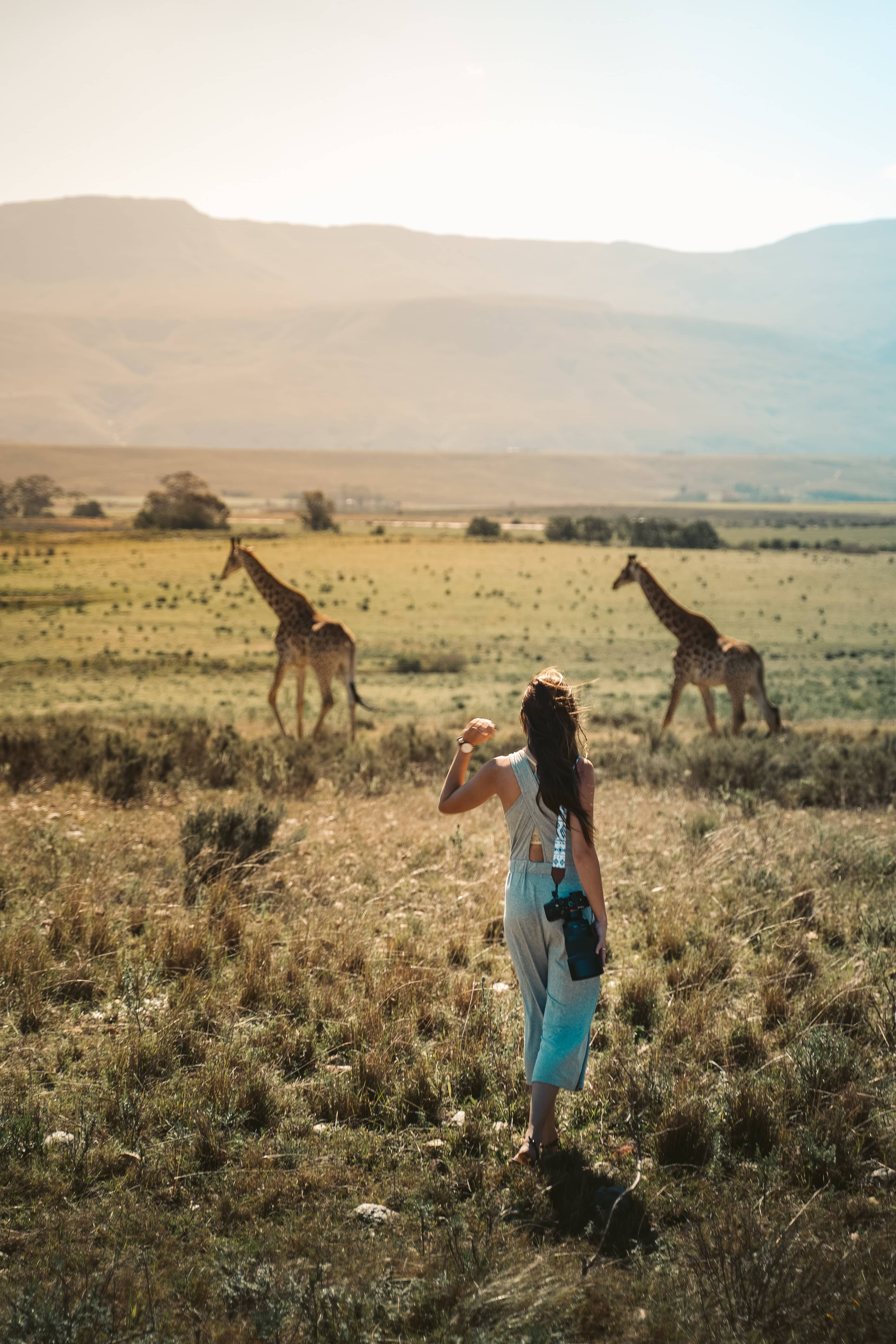 objectif pour photo animalière